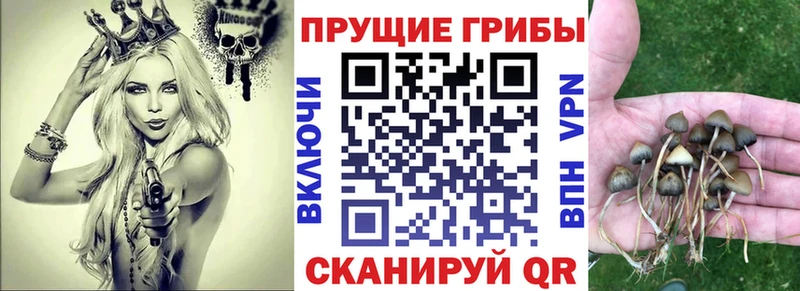 Купить  Кизилюрт  Галлюциногенные грибы мухоморы 
